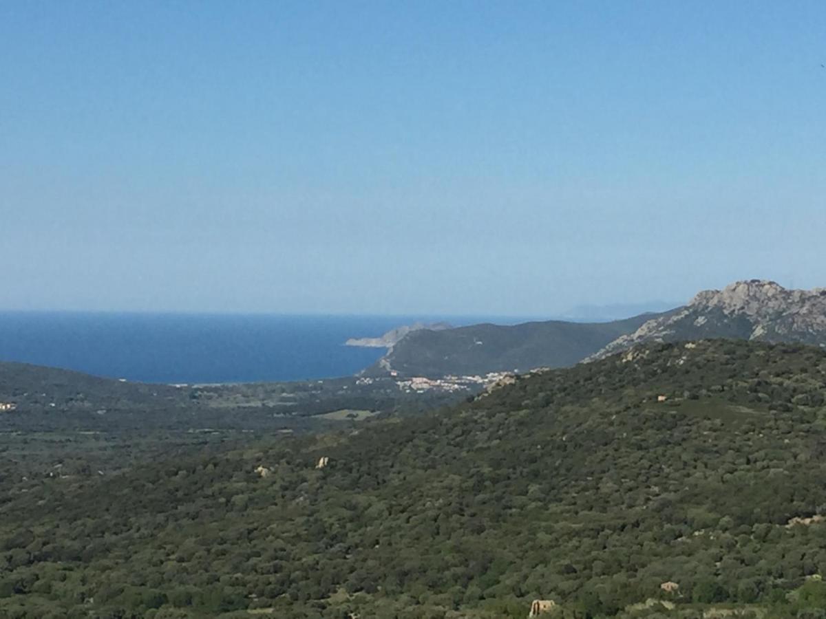 Ville-di-Paraso Caselena , Un Havre De Paix En Balagne מראה חיצוני תמונה